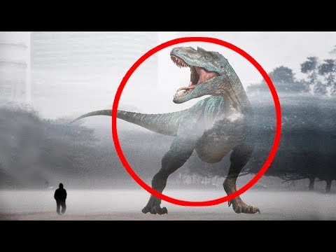 Donde Cayó El Meteorito Que Extinguió Los Dinosaurios - Oh Camping